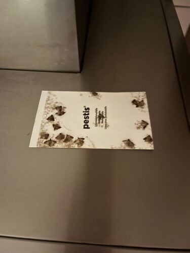 Matmalsfälla 2-pack | Pestis® photo review