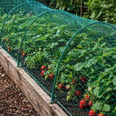 Bärskydd Fågelnät Miljö