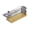 Swissinno® Metallbur för moss produkt