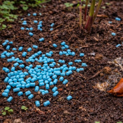 Snigelmedel | Mot Sniglar 1 kg : 200 kvm | Pestis Protect® pellets trädgård