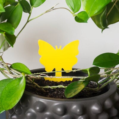 Flug- & Insektsfälla Krukväxt Limfjäril i kruka