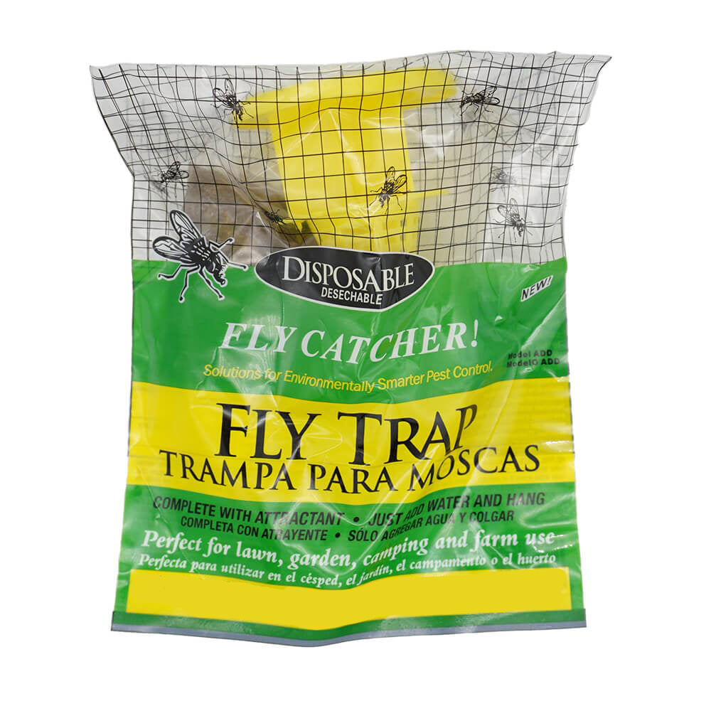 Broms Insekt: Ultimata guiden (2025) - Skadedjursbutiken.se