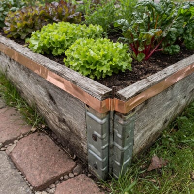 Koppartejp | Mot sniglar 4 cm x 5 m miljö