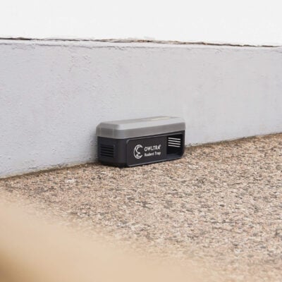 Elektrisk Fälla Utomhusbruk OWLTRA® längs vägg