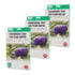 Storpack | 3 st Pestis Protect® Plommonvecklarfälla 2-pack