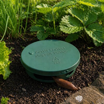 Utfodringsstation 5-Pack | Pestis Protect® miljö