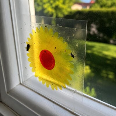 Flug- & Insektsfälla | Fönster Gul Blomma 10-pack Miljö 2