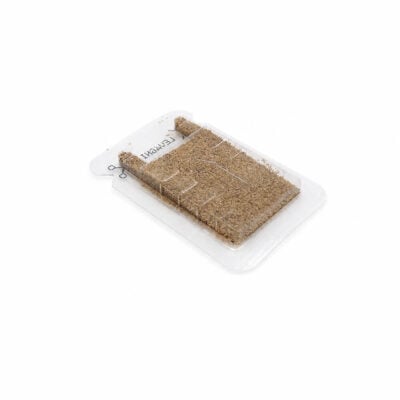 Betesstationer mot Faraomyror 3-pack | Protect® Betesstationer